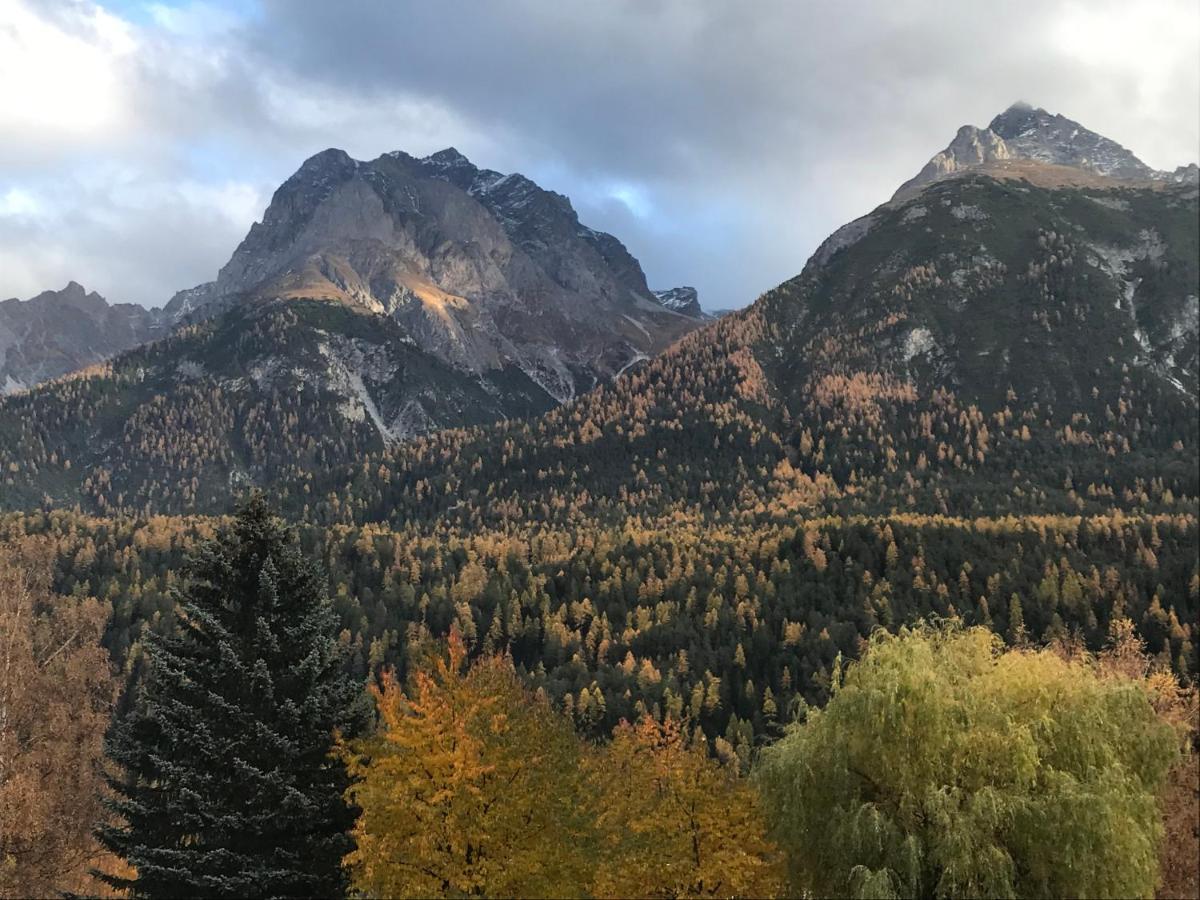 Aaa Chalet Allegra Rojo With Mountain View シュクオル エクステリア 写真